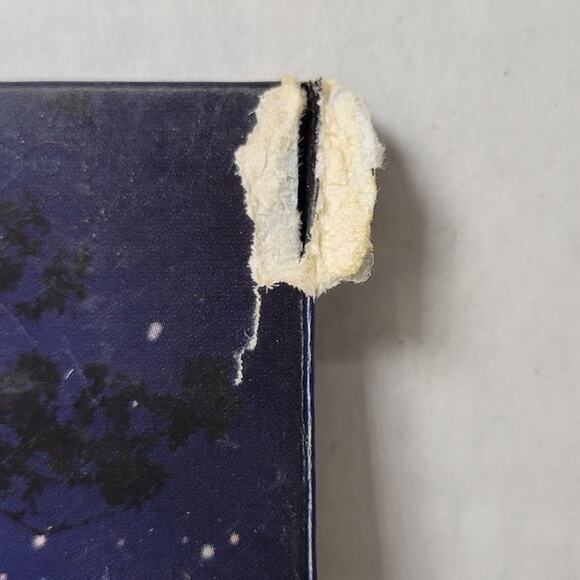 CD Bruce Springsteen - Working On A Dream - Picture 6 of 6